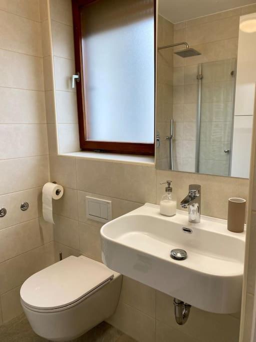 Spacious In A Quiet Neighbourhood + Private Parking * Ljubljana