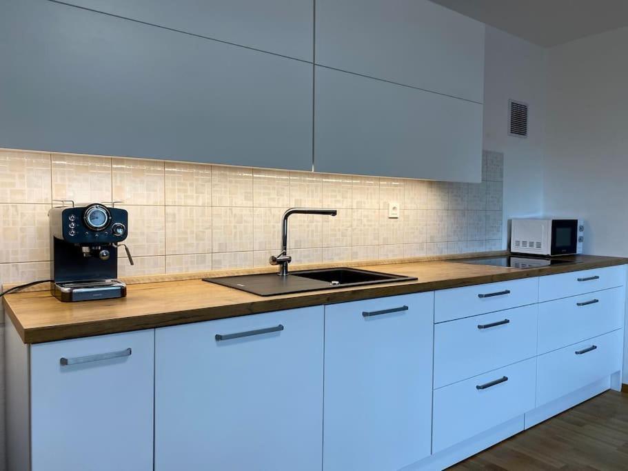 Apartman Spacious In A Quiet Neighbourhood + Private Parking Ljubljana